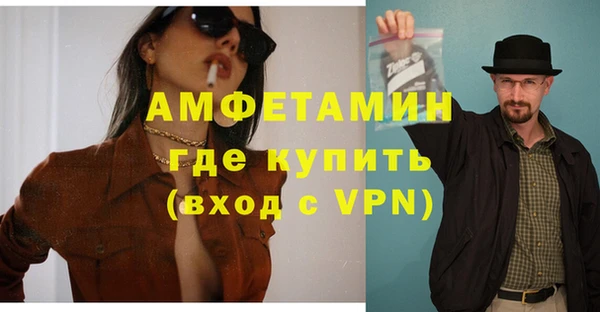 дживик Няндома