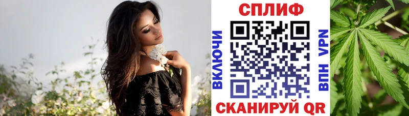 блэк спрут как войти  Сосенский  дарк нет состав  Бошки Шишки White Widow 
